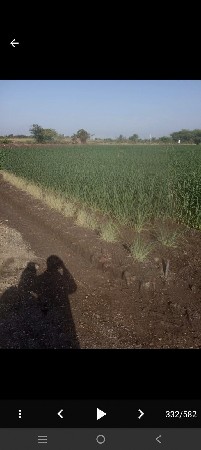 ખેતી લાયક જમીન વેચવી છે