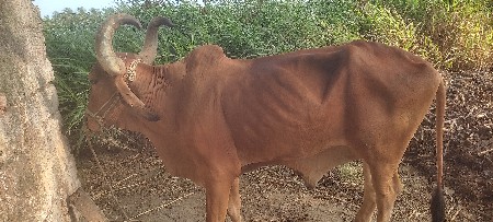 વિશ્વનો છે