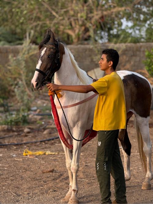 Ghodi