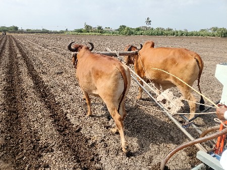 વેસવાના સે
8347903452