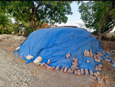 20નંબર