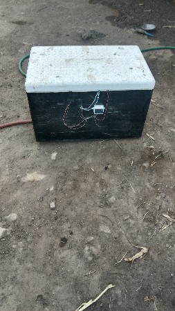 inkyubetar masin  100 inda  nu