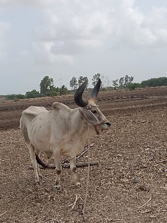 9023254950
