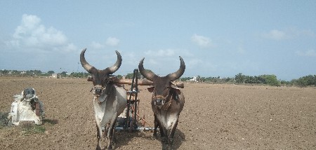 balad vesvanasr