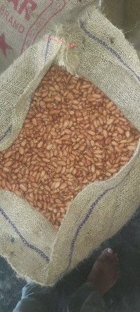 39 નંબરના દાણા