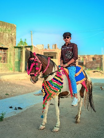 ઘોડી વેચવાની છે કાળી બાવળી