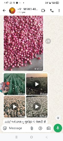 ડુંગળી નું બીયારણ વેચવાનું છે