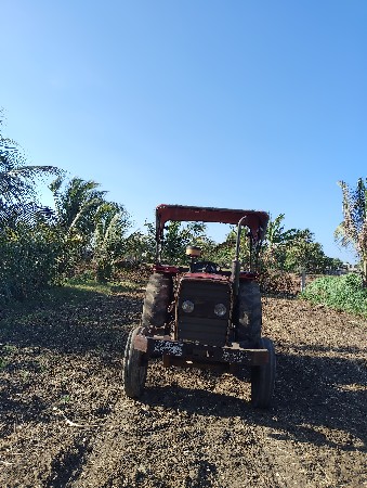 મેસી 241 ટ્રેક્ટર વેચવાનું છે