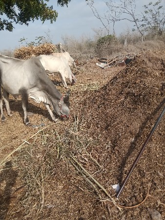 બે બે જાતે તારા નામ ચાલુ