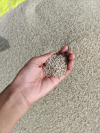 ઉનાળુ બજારો વેચવાનો છે