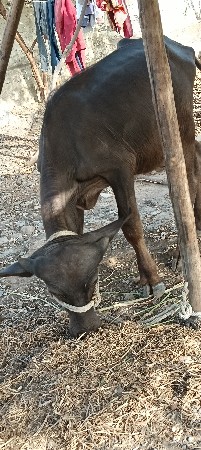 પોરબંદર જિલ્લો