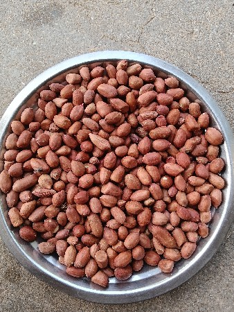 રામદે રામ કેશવાલા