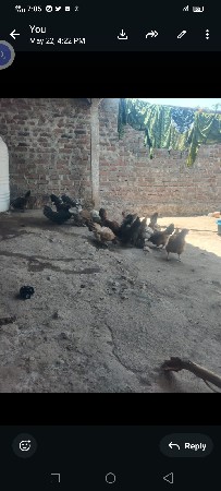 the