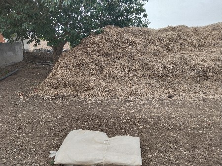 મગફળી નો પાલો