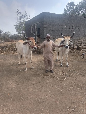 બધામા ચાલુ છે