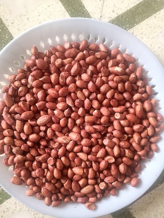 જી 45 બિયારણ