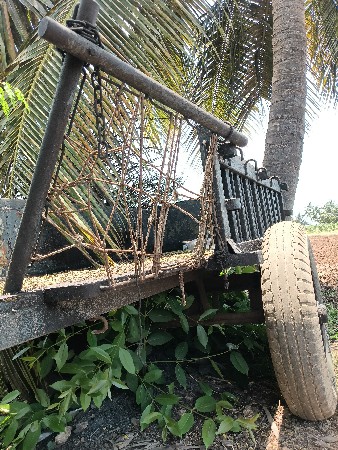 બળદ ગાડી ( રેકડો ) વેસવાનોછે