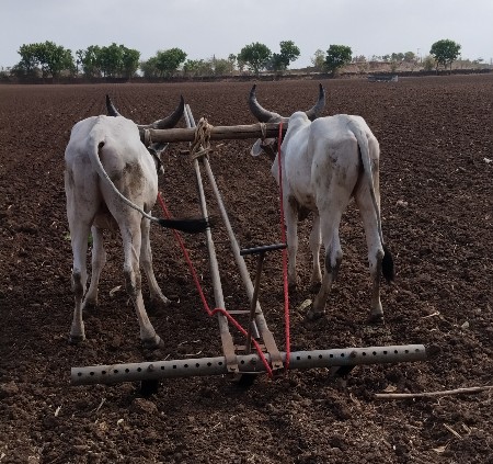 ગોઢલા