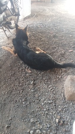 મેલ‌ વેસવા‌ નો‌ છે
