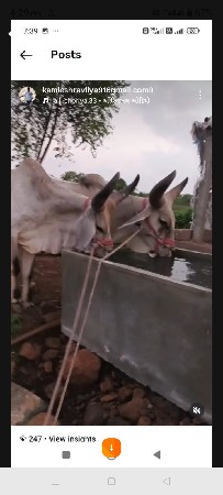 9429433839
બળદ વહેંચવાના છે