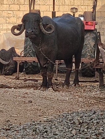2 વેતર નું ખડેલું