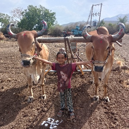 વેચવાના છે