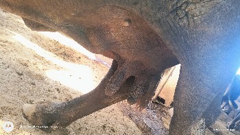 15 દિવસ ની વાર છે