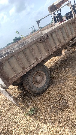 ટોલી વેસવાની સે