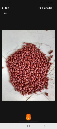વેચવાનું છે