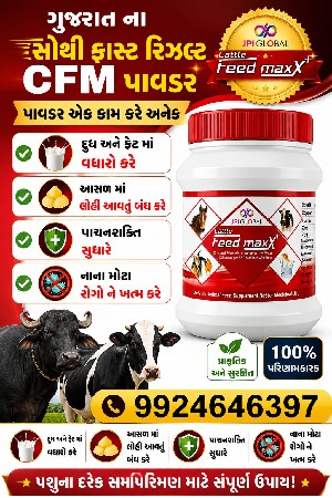 પાવડર