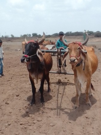 દેવભૂમિ દ્વારકા જિલ્લો ભાણવડ તાલુક