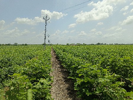 ૧૦ વિઘા જમીન છે, ૧ વિઘા ના ૧૦ લાખ