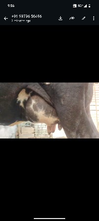 જર્સી વેચવાની છે