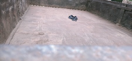 ટેલર