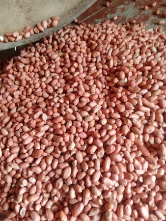k 41 આપવાનું છે