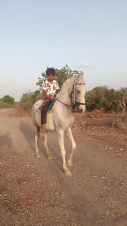 વેચવાનું છે