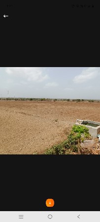 21 લાખ ભાવ