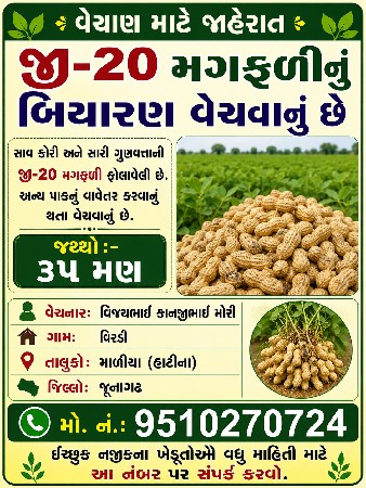 જી-20 મગફળીનું બિયારણ વેચવાનું છે