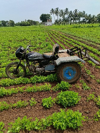 ટુ વ્હીલર સનેડો