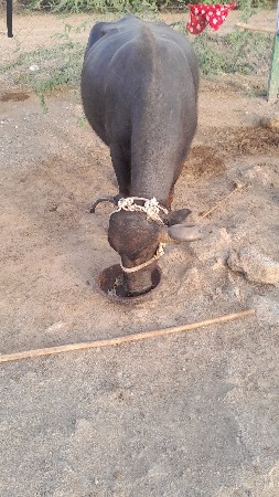 વેચવાનીછે