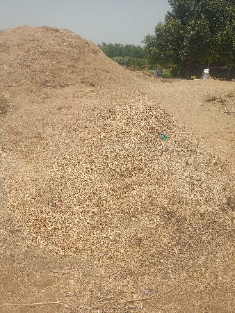 કાંગ નો ભૂકો વેચવાનો છે