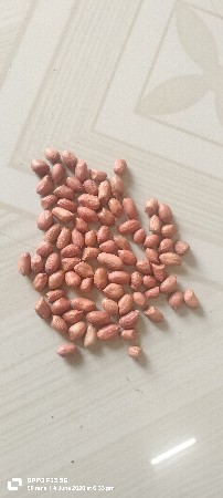 જી 20 નું બિયારણ