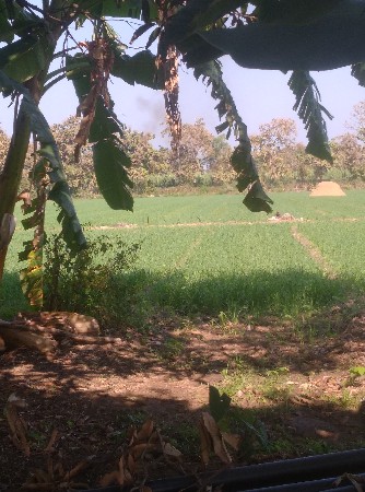 જમીન વેચવાની છે