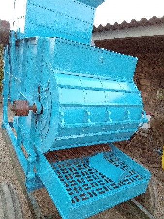 મગફડી