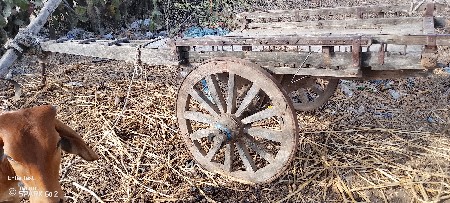 આ ગાડું વેચવાનું છે