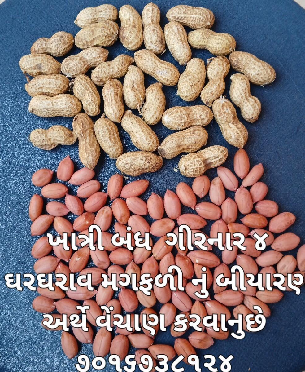 મગફળી નું  વેંચાણ કરવાનું છે