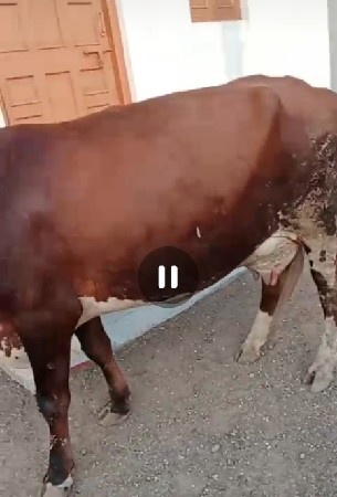 વેચવાની સે