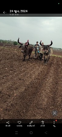 બરધ વેસવાના છે