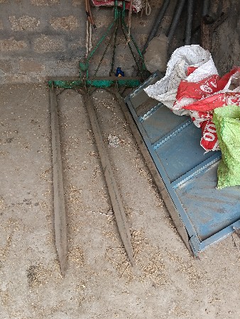 સિપિયો વેશવાનો છે