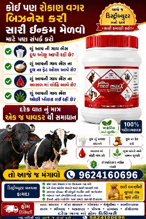 પાવડર